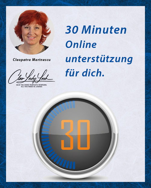 30 Minuten Online-Unterstützung.